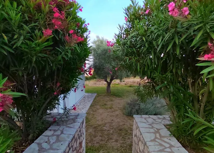 Polikarpos Willa Tsoukaládhes