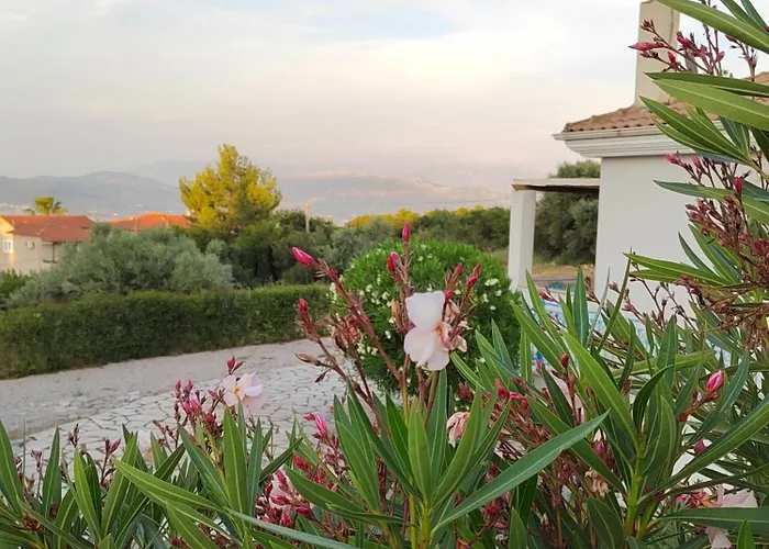 Polikarpos * Tsoukaládhes