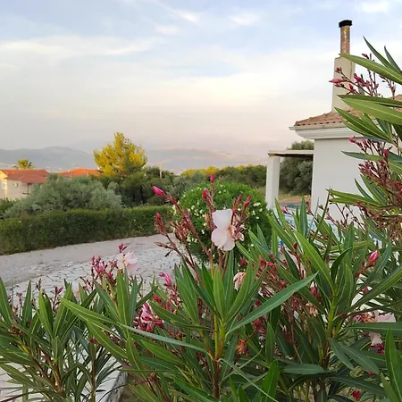 Polikarpos * Cukaládesz